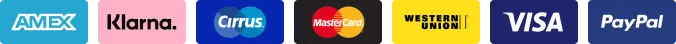 Payment options on ecommerce store