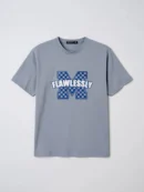 Grey t-shirt with 'FLAWLESSLY' text and blue checkered 'M' logo